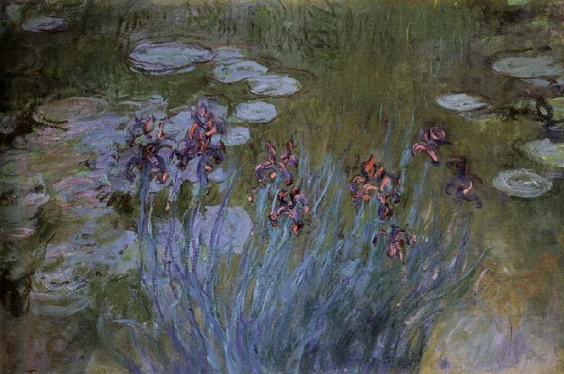 Claude Monet Irises and Water Lillies France oil painting art
